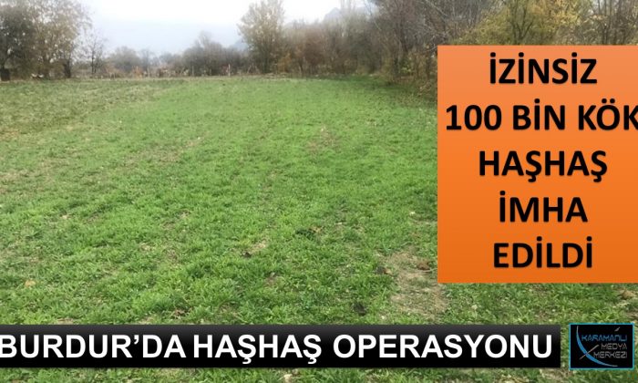 BURDUR’DA YASADIŞI HAŞHAŞ OPERASYONU