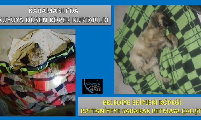 KARAMANLI’DA KUYUYA DÜŞEN KÖPEK KURTARILDI
