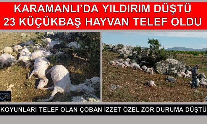 KARAMANLI’DA YILDIRIM DÜŞMESİ SONUCU 23 KÜÇÜKBAŞ HAYVAN TELEF OLDU