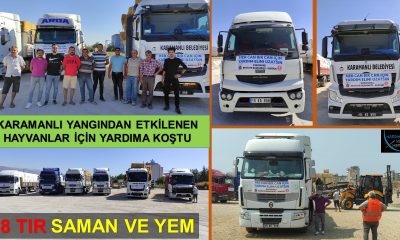 KARAMANLI YANGINDAN ETKİLENEN HAYVANLARIN YARDIMINA KOŞTU