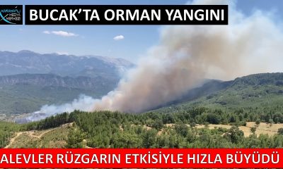 BUCAK’TA ORMAN YANGINI