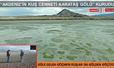 “AKDENİZ’İN KUŞ CENNETİ KARATAŞ GÖLÜ” KURUDU