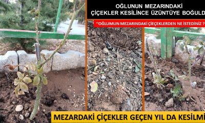 OĞLUNUN MEZARINDAKİ ÇİÇEKLER KESİLİNCE ÜZÜNTÜYE BOĞULDU