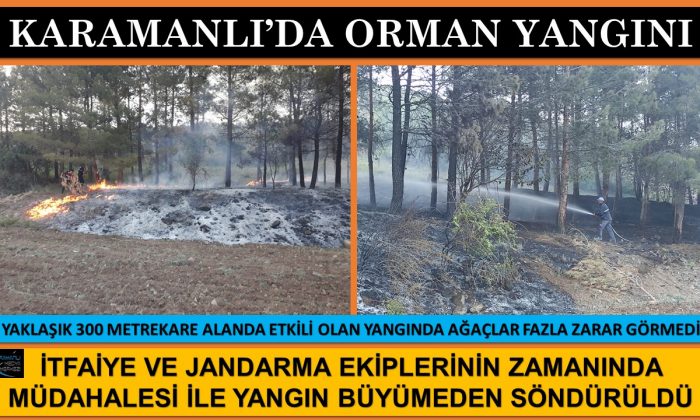 KARAMANLI’DA KÜÇÜK ÇAPLI ORMAN YANGINI