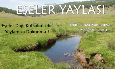 EŞELER YAYLASI İÇİN CHANGE.ORG SİTESİNDE İMZA KAMPANYASI BAŞLATILDI