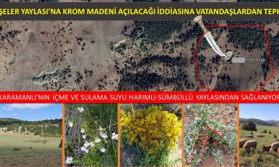 EŞELER YAYLASI’NDA KROM MADENİ AÇILACAĞI İDDİASINA VATANDAŞLARDAN TEPKİ