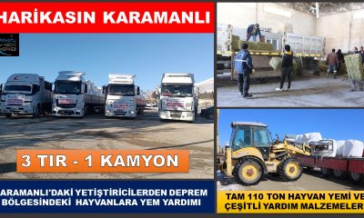 KARAMANLI’DAKİ YETİŞTİRİCİLERDEN DEPREM BÖLGESİNDEKİ HAYVANLARA YEM YARDIMI