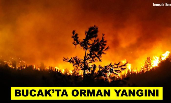 BUCAK’TA ORMAN YANGINI