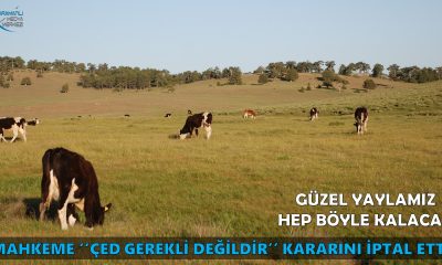MAHKEME KROM MADENİ İÇİN “ÇED GEREKLİ DEĞİLDİR” İSTEMİNİN İPTALİNE KARAR VERDİ