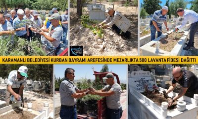KARAMANLI MEZARLIĞI LAVANTA KOKACAK