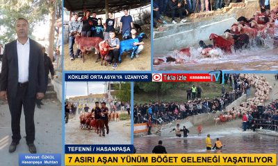 HASANPAŞA’NIN TARİHİ YÜNÜM BÖĞET GELENEĞİ YAŞATILIYOR – VİDEO HABER