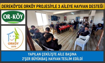 DEREKÖY’DE ORKÖY PROJESİ KAPSAMINDA 3 AİLEYE BÜYÜKBAŞ HAYVAN DESTEĞİ